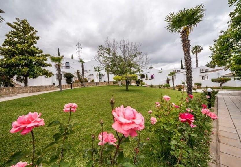 The Olive Tree Hotel Agios Epiktitos Buitenkant foto