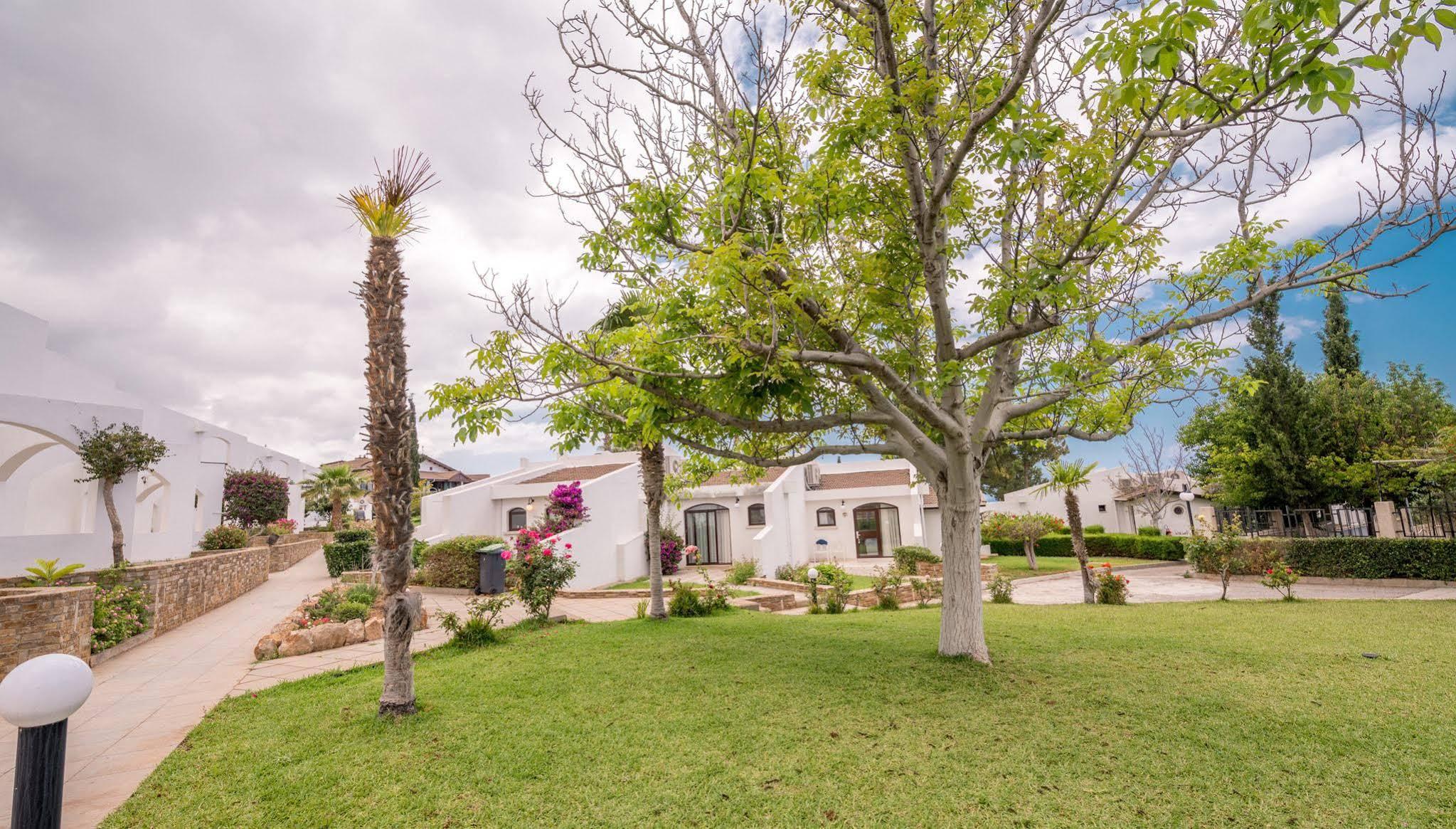 The Olive Tree Hotel Agios Epiktitos Buitenkant foto
